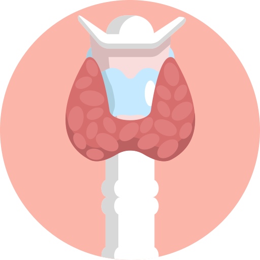 Thyroid Profile (T3, T4, and TSH)