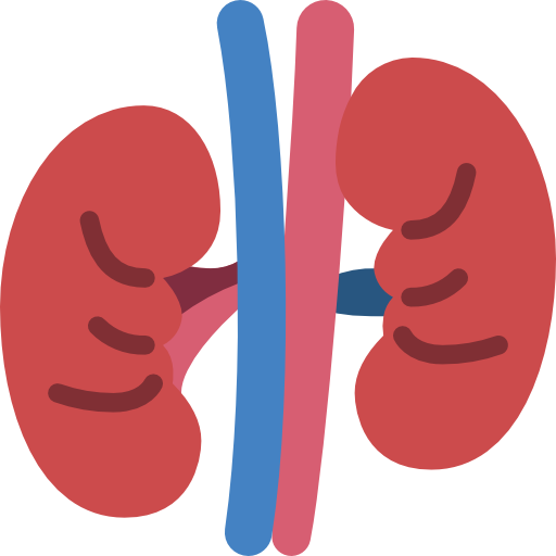 Kidney Profile